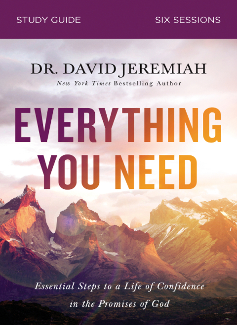 Cover image for book Everything You Need Bible Study Guide