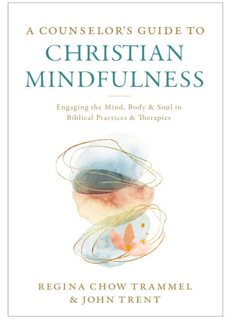 Cover image for book A Counselor's Guide to Christian Mindfulness