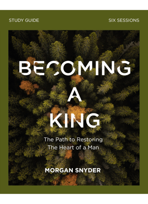 Cover image for book Becoming a King Study Guide