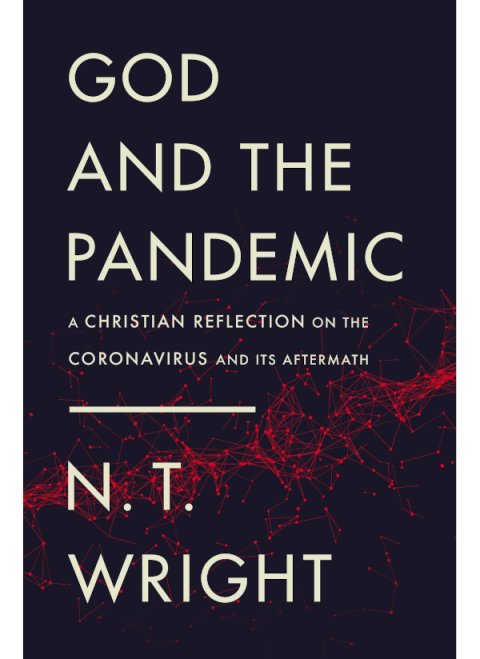 Cover image for book God and the Pandemic