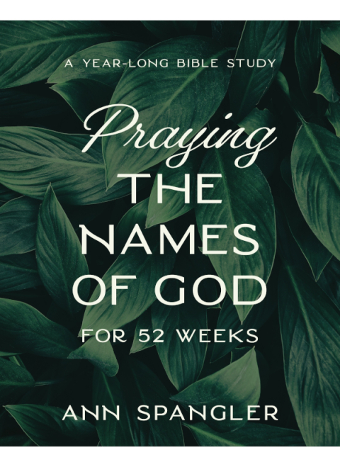 Cover image for book Praying the Names of God for 52 Weeks, Expanded Edition