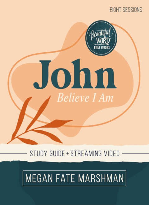 Cover image for book John Bible Study Guide plus Streaming Video