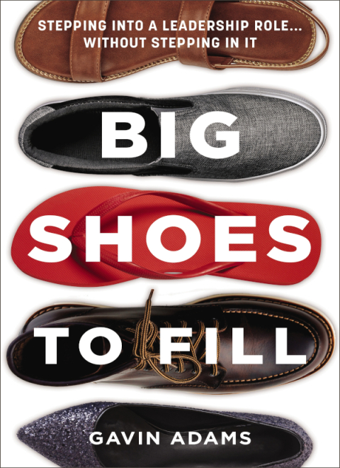 Cover image for book Big Shoes to Fill