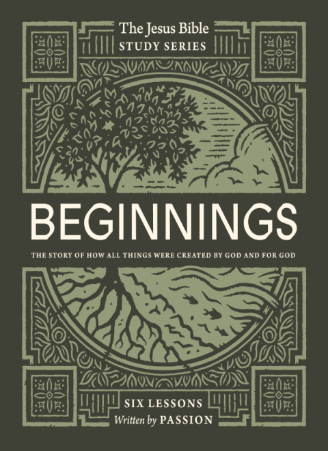 Cover image for book Beginnings Bible Study Guide