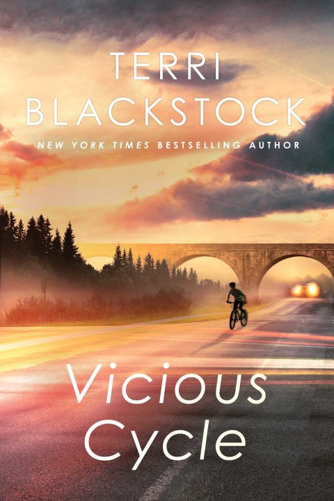 Cover image for book Vicious Cycle
