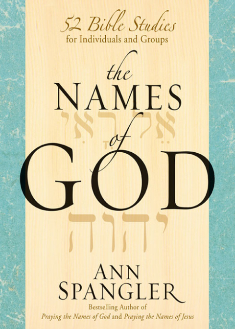 Cover image for book The Names of God
