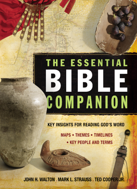 Cover image for book The Essential Bible Companion