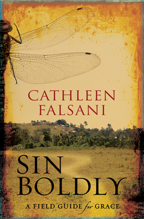 Cover image for book Sin Boldly