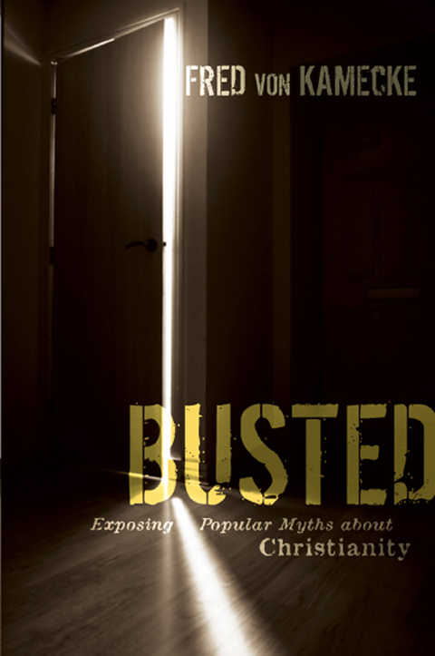Cover image for book Busted