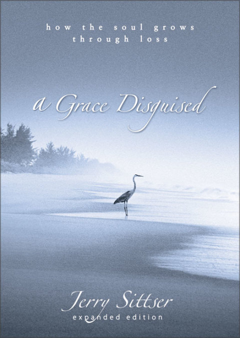 Cover image for book A Grace Disguised