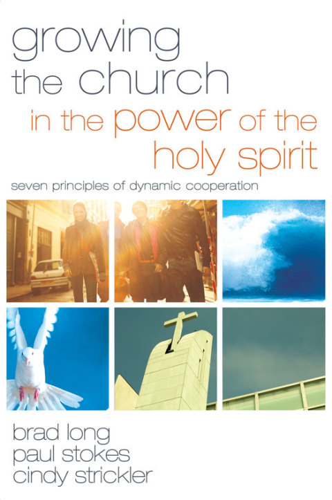 Cover image for book Growing the Church in the Power of the Holy Spirit
