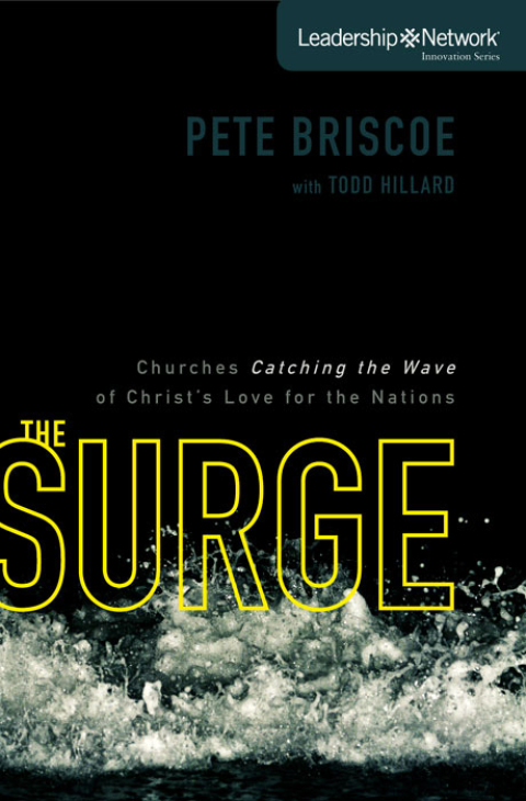 Cover image for book The Surge