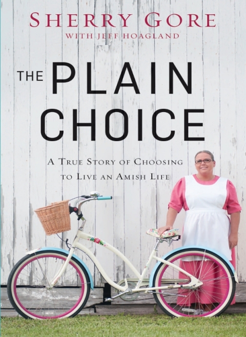 Cover image for book The Plain Choice