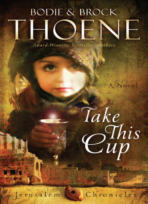 Cover image for book Take This Cup