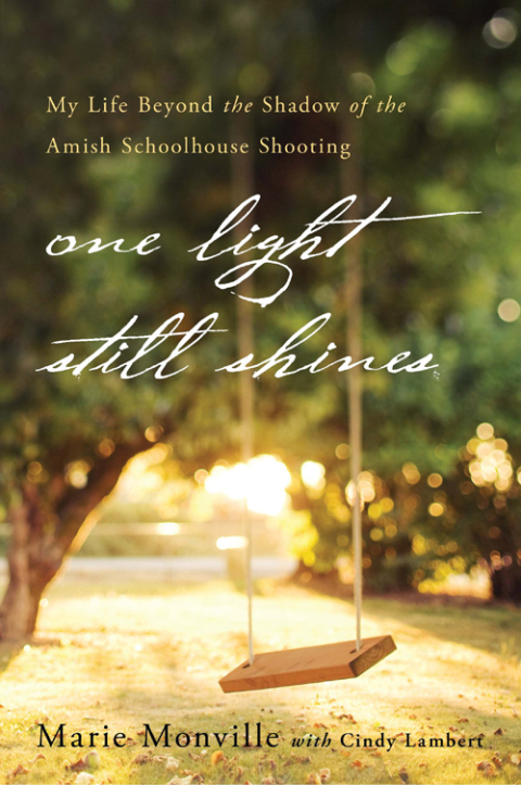 Cover image for book One Light Still Shines
