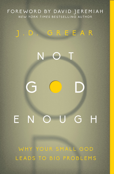 Cover image for book Not God Enough