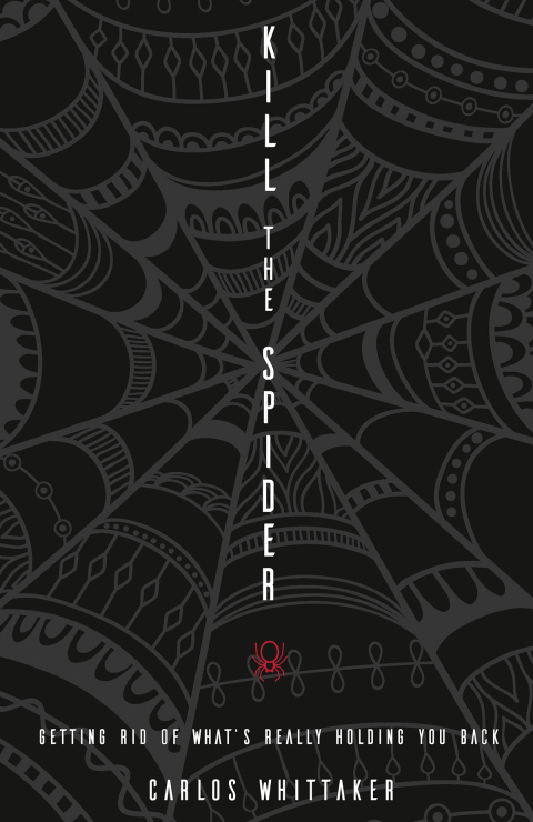 Cover image for book Kill the Spider