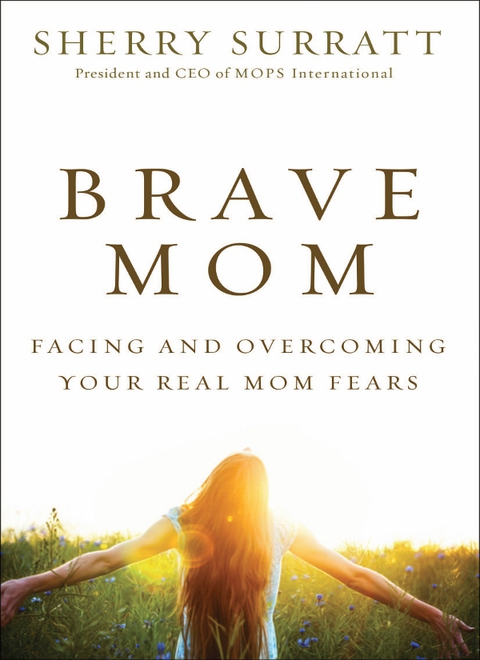 Cover image for book Brave Mom