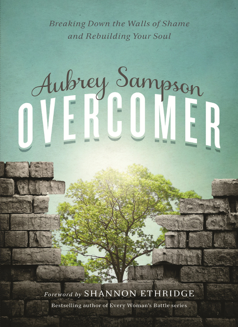 Cover image for book Overcomer