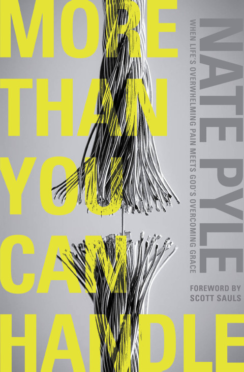 Cover image for book More Than You Can Handle