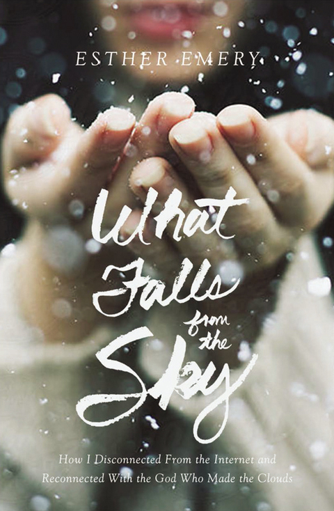 Cover image for book What Falls from the Sky