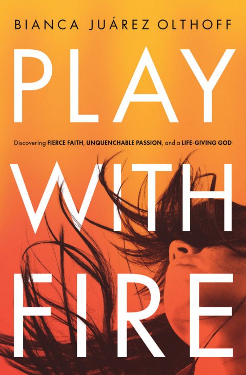 Cover image for book Play with Fire