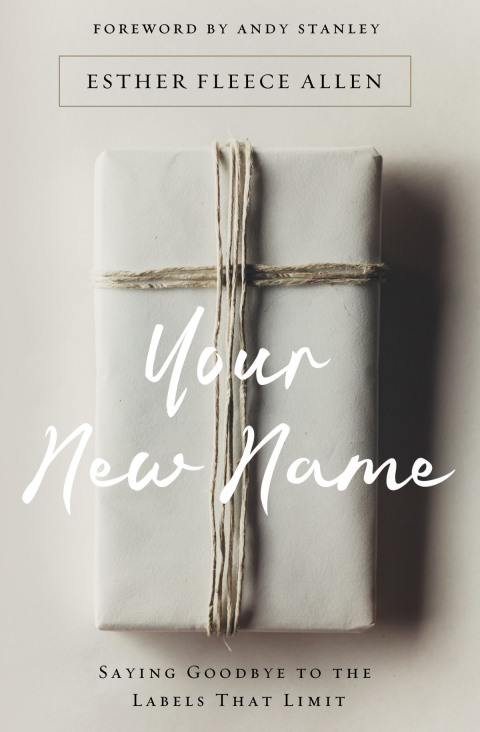 Cover image for book Your New Name
