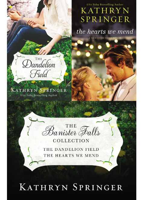 Cover image for book The Banister Falls Collection