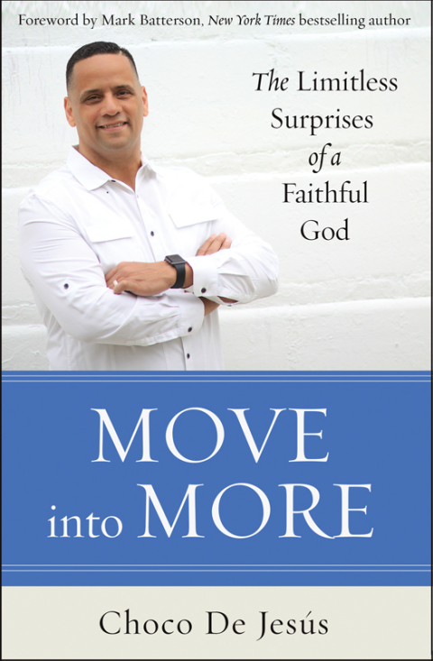 Cover image for book Move into More