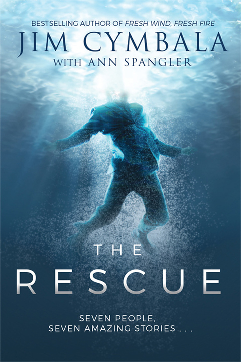 Cover image for book The Rescue