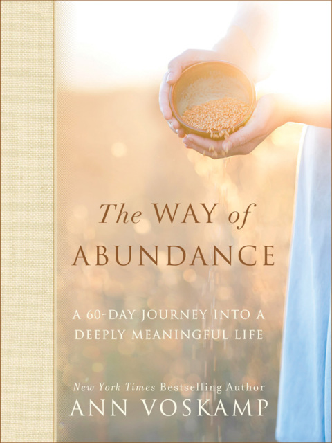 Cover image for book The Way of Abundance