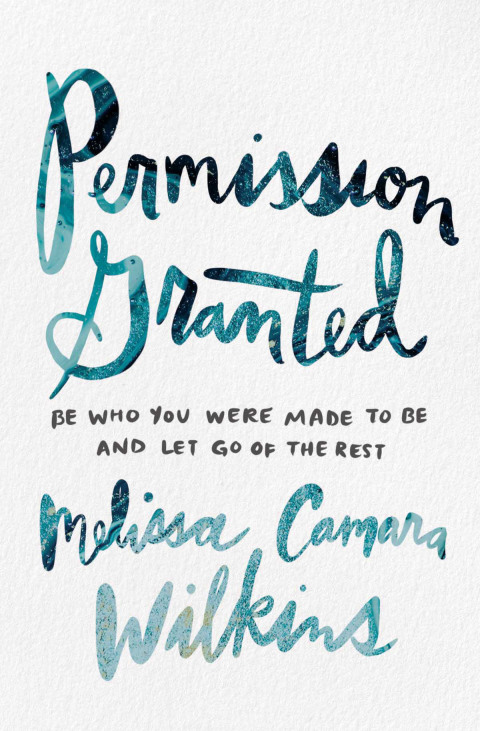 Cover image for book Permission Granted