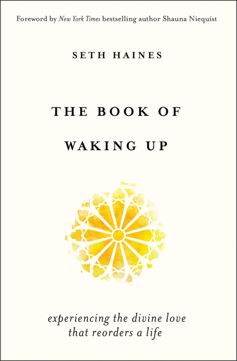 Cover image for book The Book of Waking Up