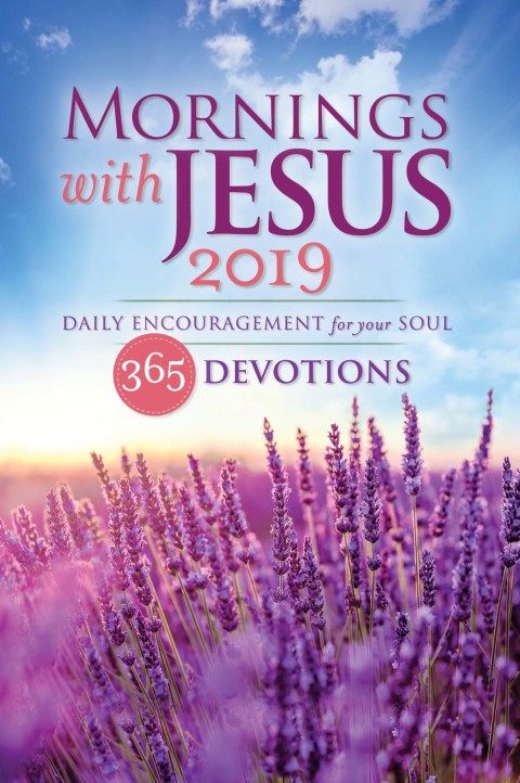 Cover image for book Mornings with Jesus 2019