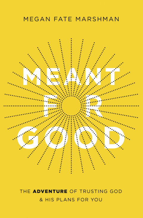 Cover image for book Meant for Good
