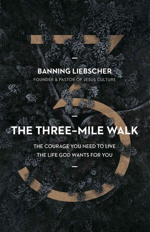 Cover image for book The Three-Mile Walk