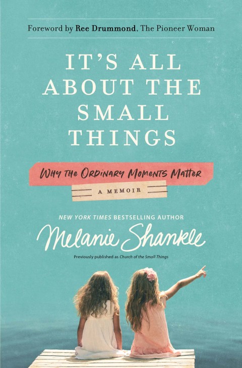 Cover image for book It's All About the Small Things