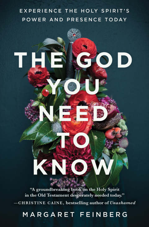 Cover image for book The God You Need to Know