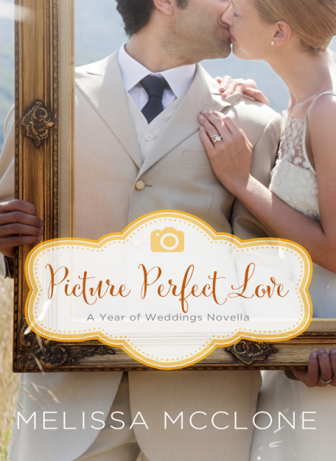 Cover image for book Picture Perfect Love