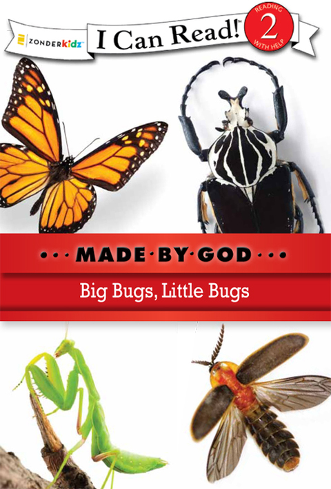 Cover image for book Big Bugs, Little Bugs
