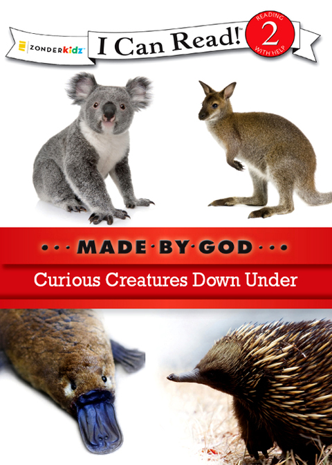Cover image for book Curious Creatures Down Under