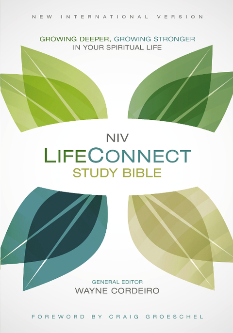 Cover image for book NIV, LifeConnect Study Bible