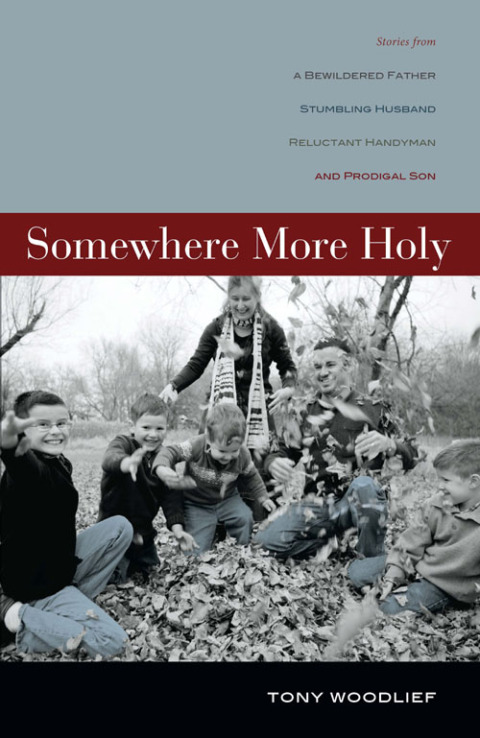 Cover image for book Somewhere More Holy