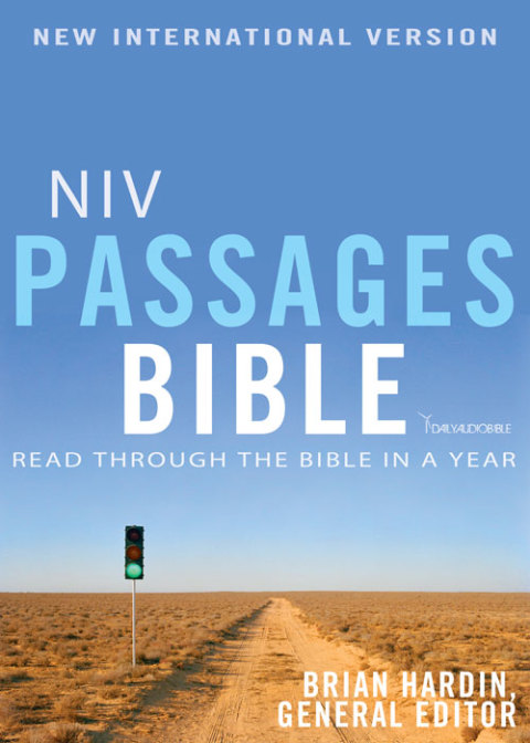 Cover image for book NIV, Passages Bible