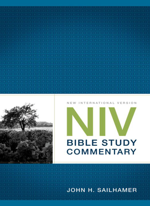 Cover image for book NIV Bible Study Commentary
