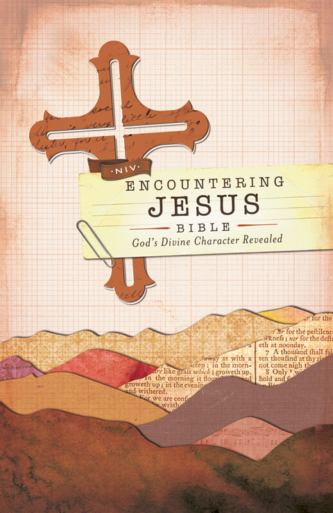 Cover image for book NIV, Encountering Jesus Bible