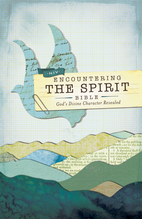 Cover image for book NIV, Encountering the Spirit Bible