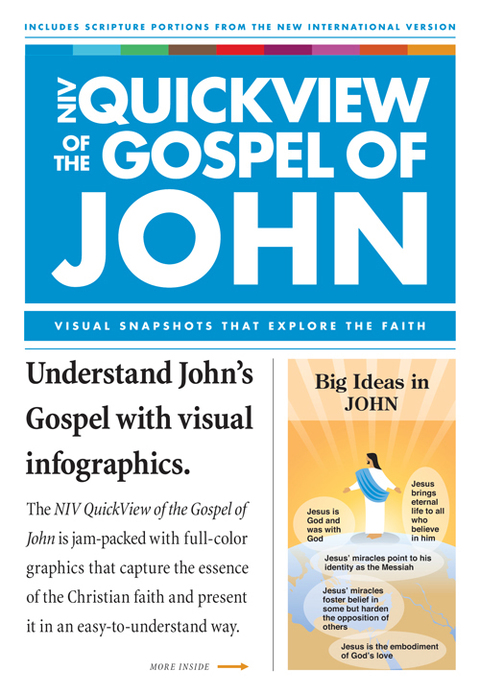 Cover image for book NIV, QuickView of the  Gospel of John