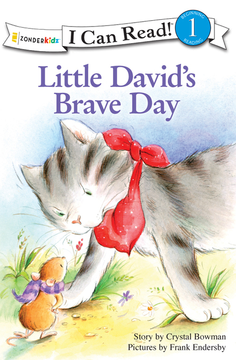 Cover image for book Little David's Brave Day