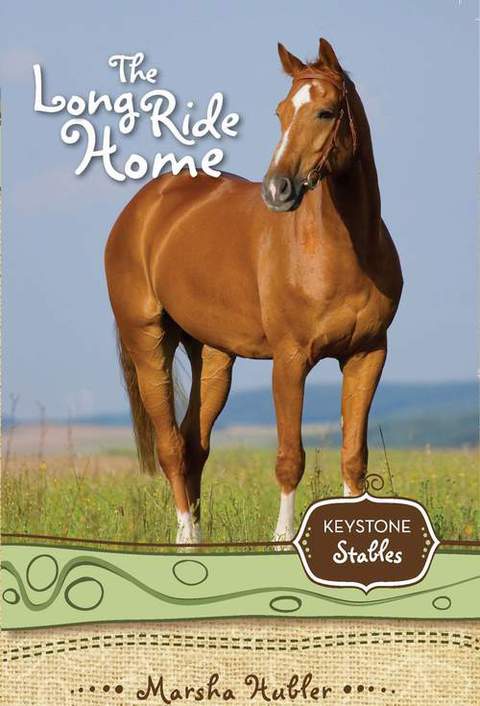 Cover image for book The Long Ride Home